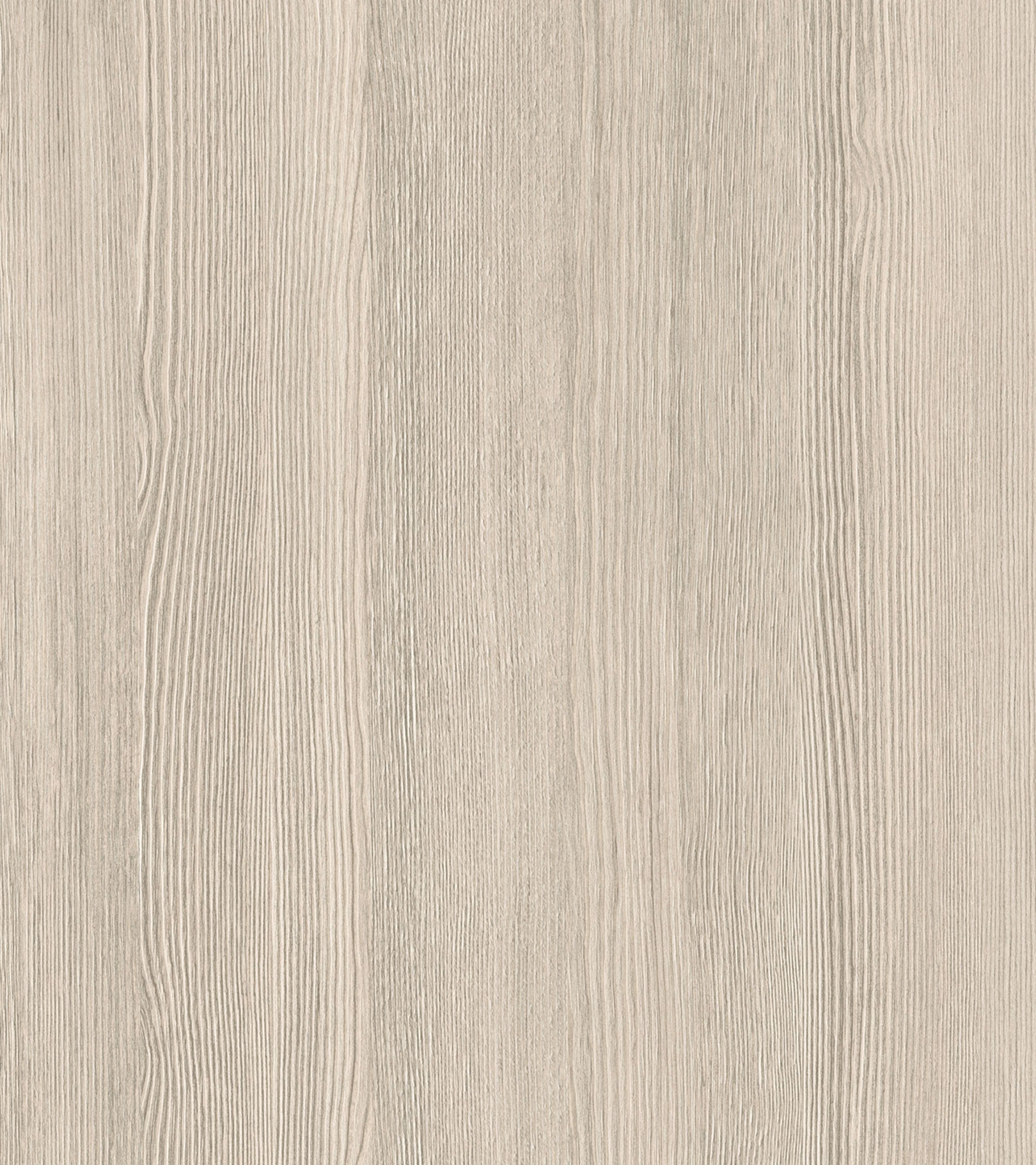 Larice Grigio Chiaro