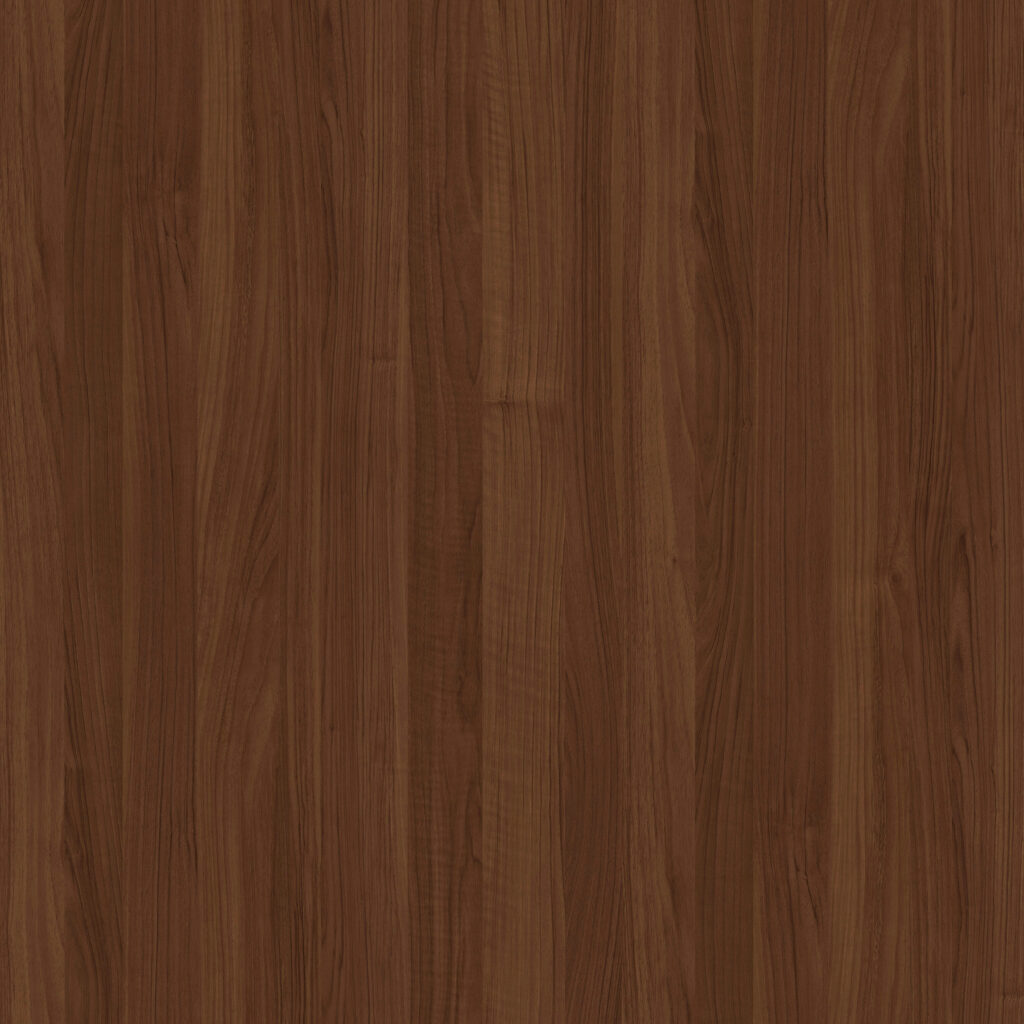 Noce Biscotto 8
