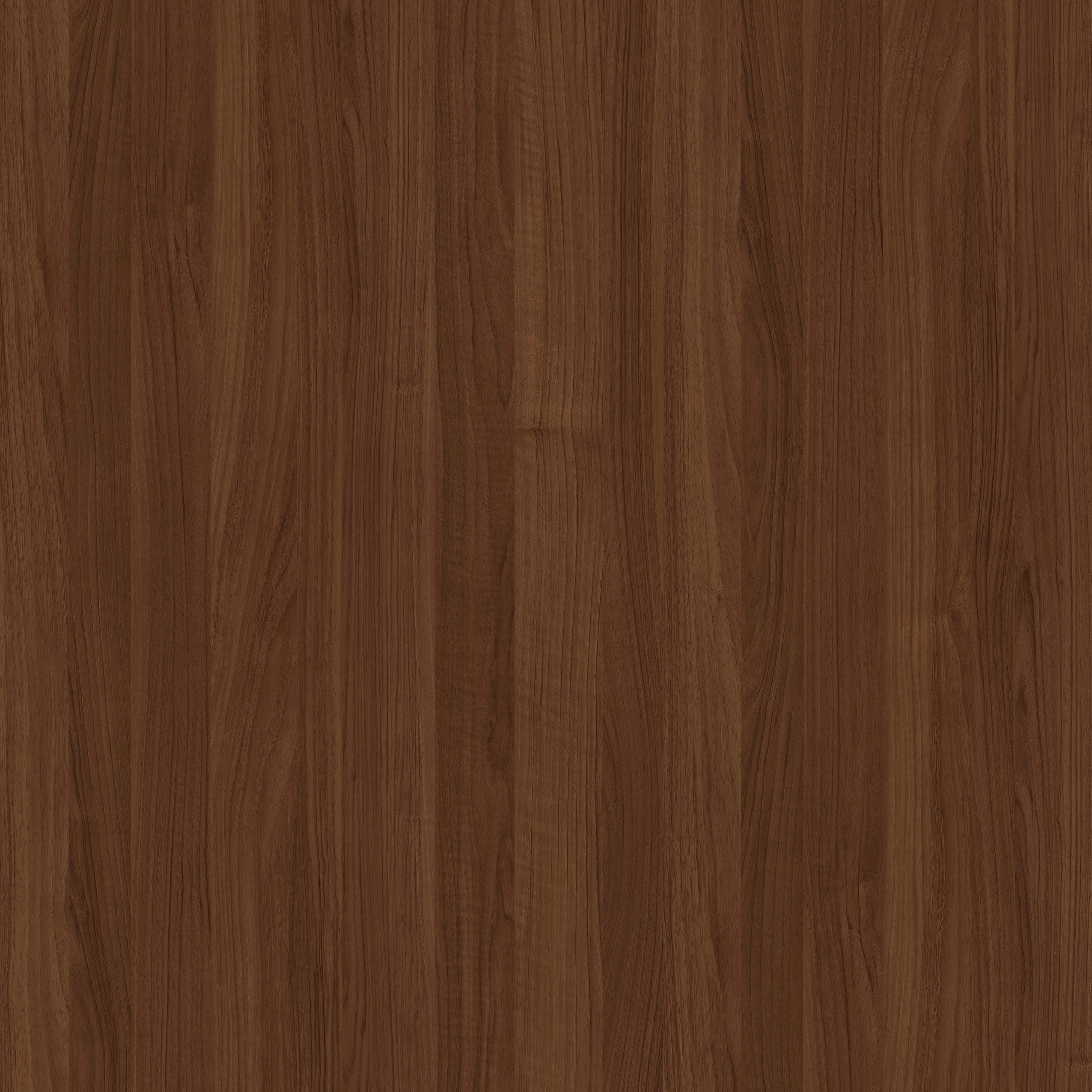 Noce Biscotto 8