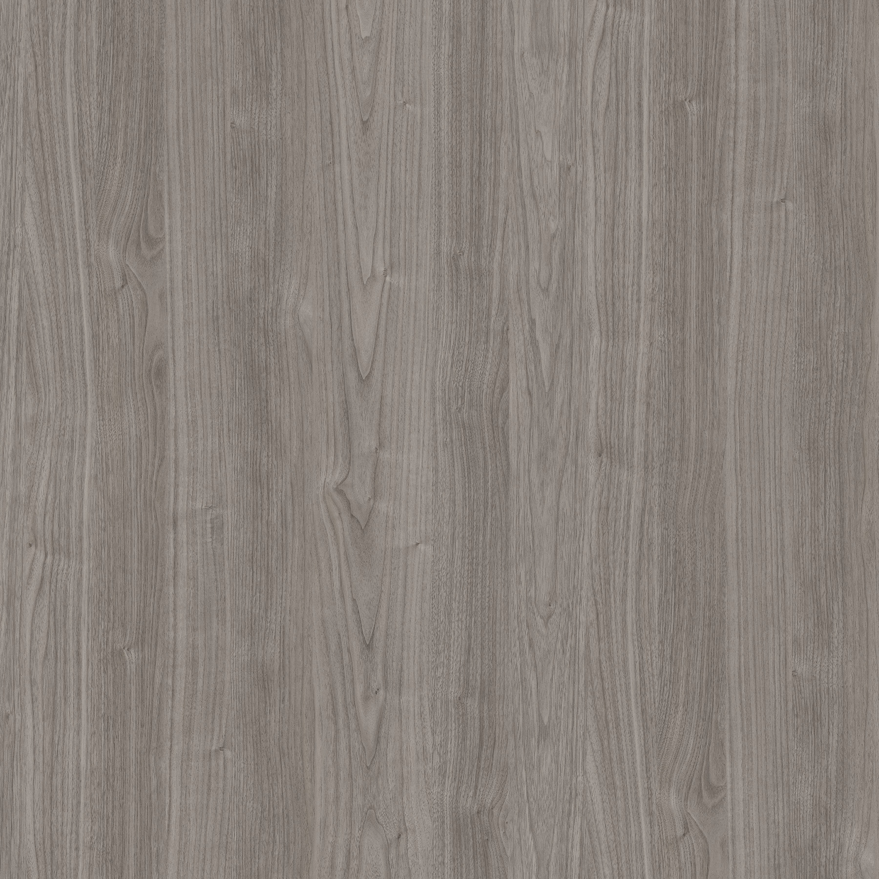 Noce Grigio Argentato