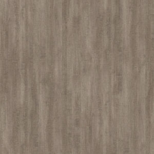 Rovere Saturno