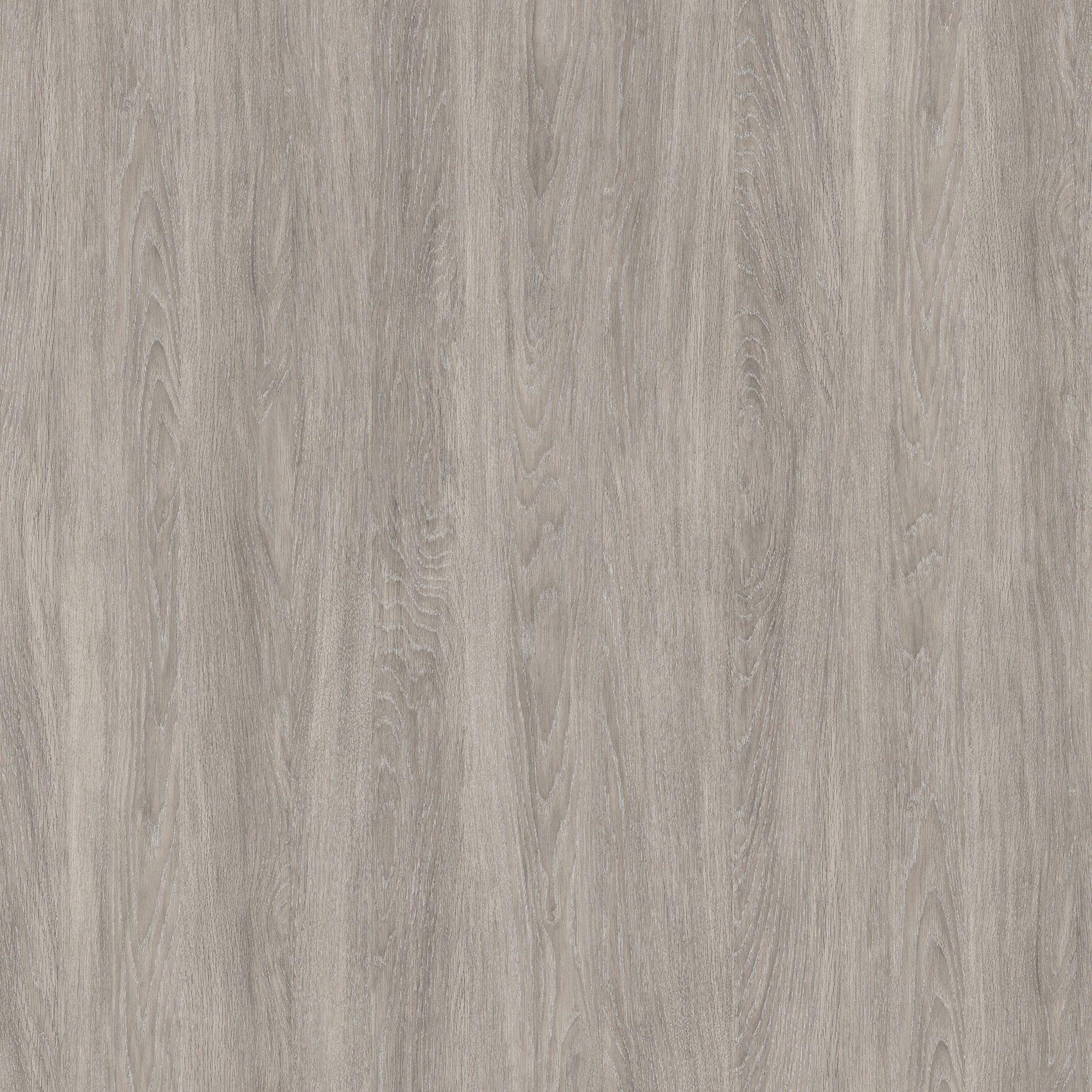 Rovere Alsazia