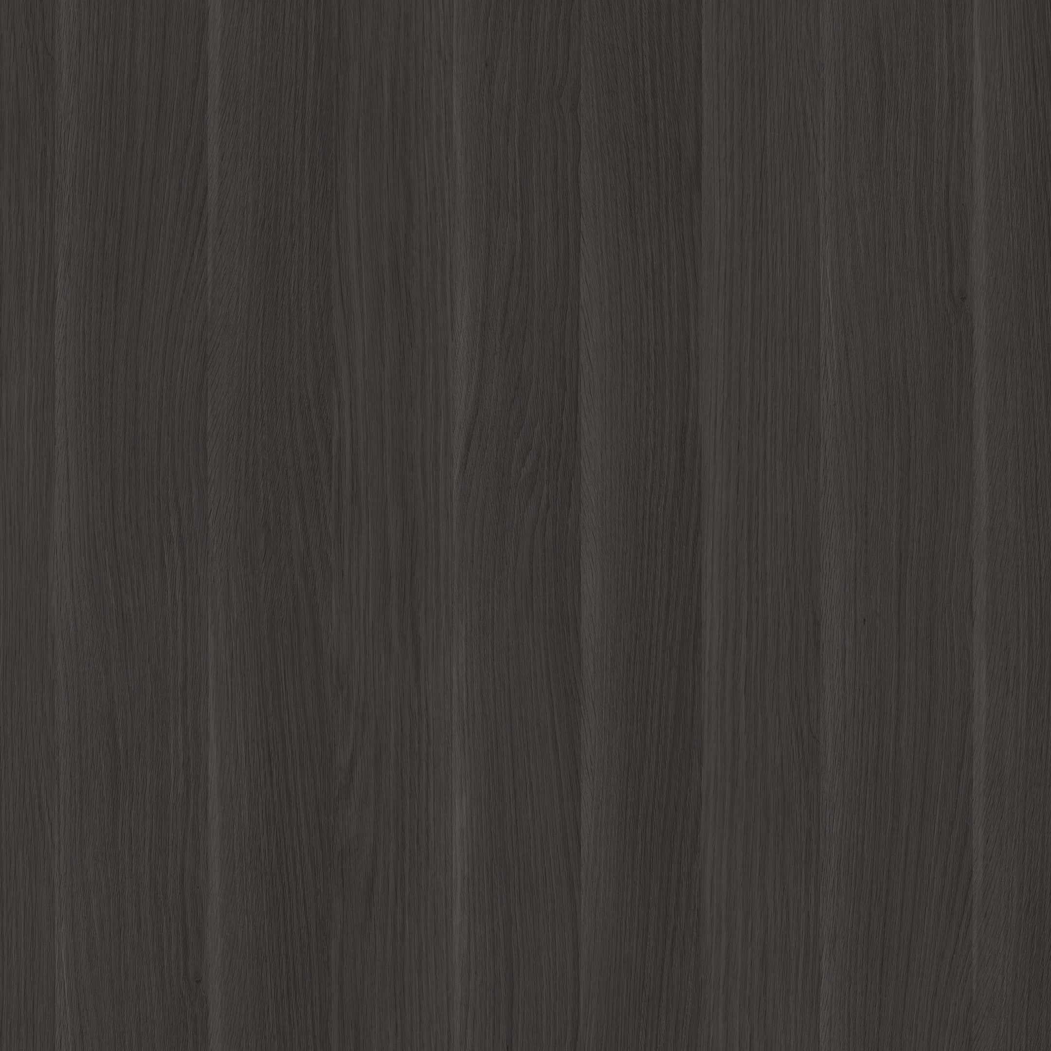 Rovere Cenere