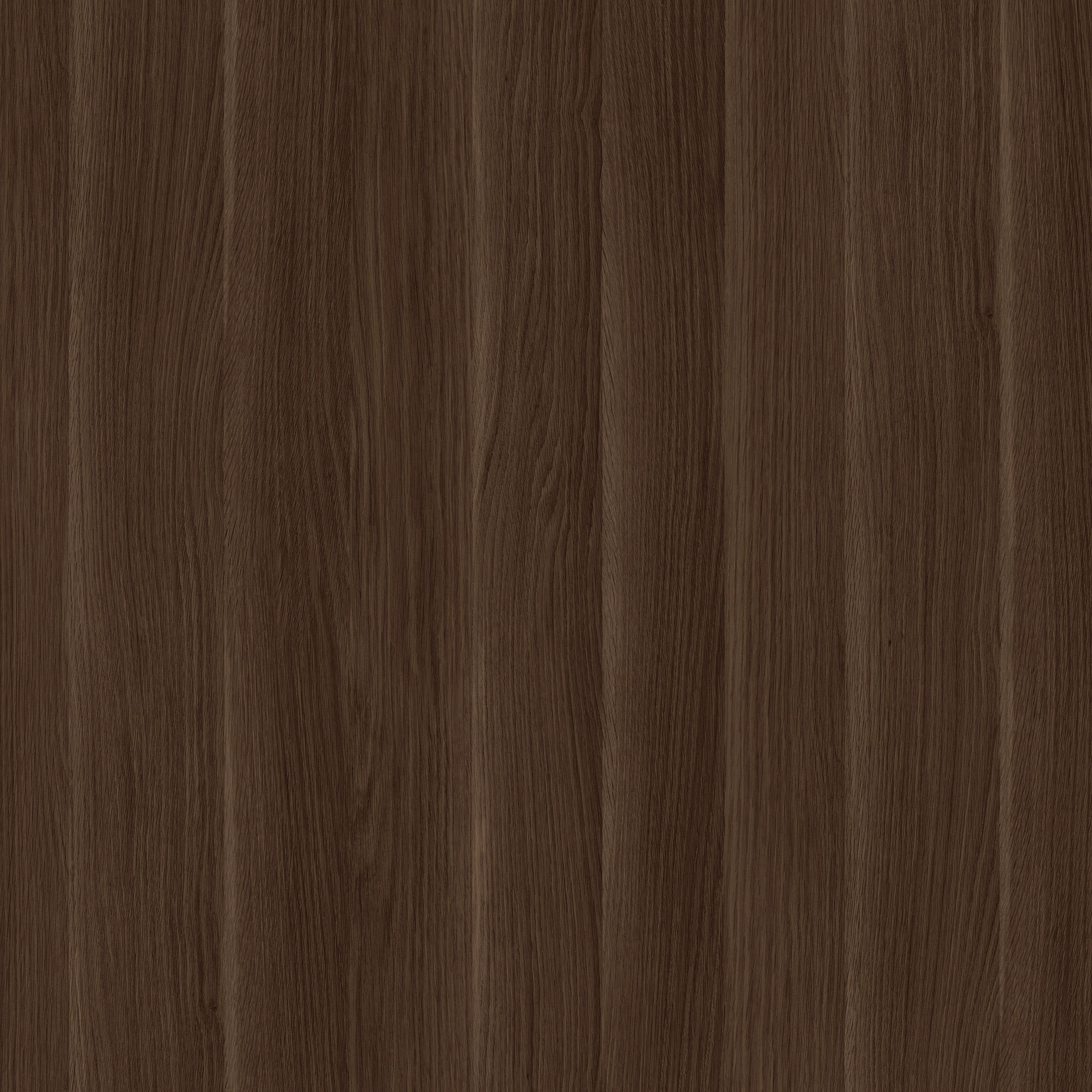 Rovere Navona