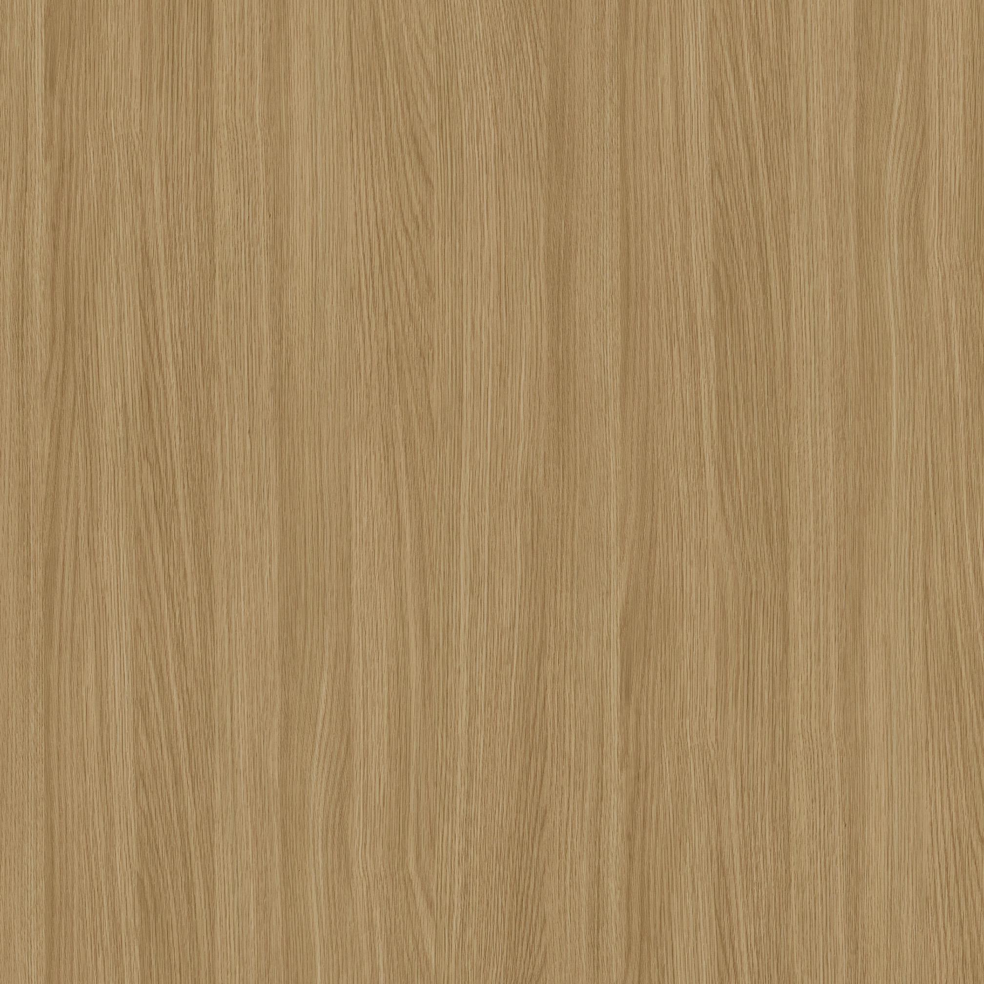 Rovere Narciso
