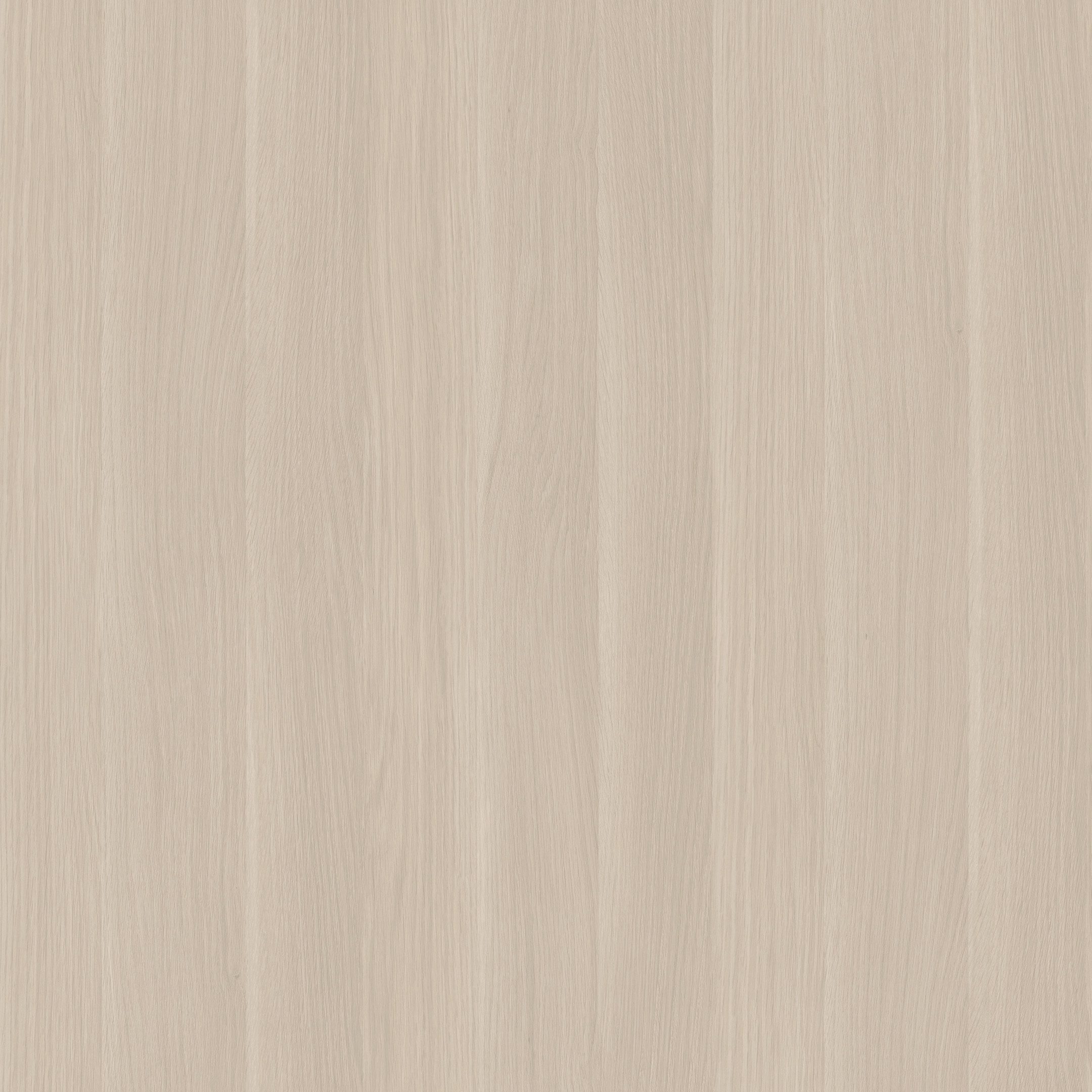 Rovere Gessato