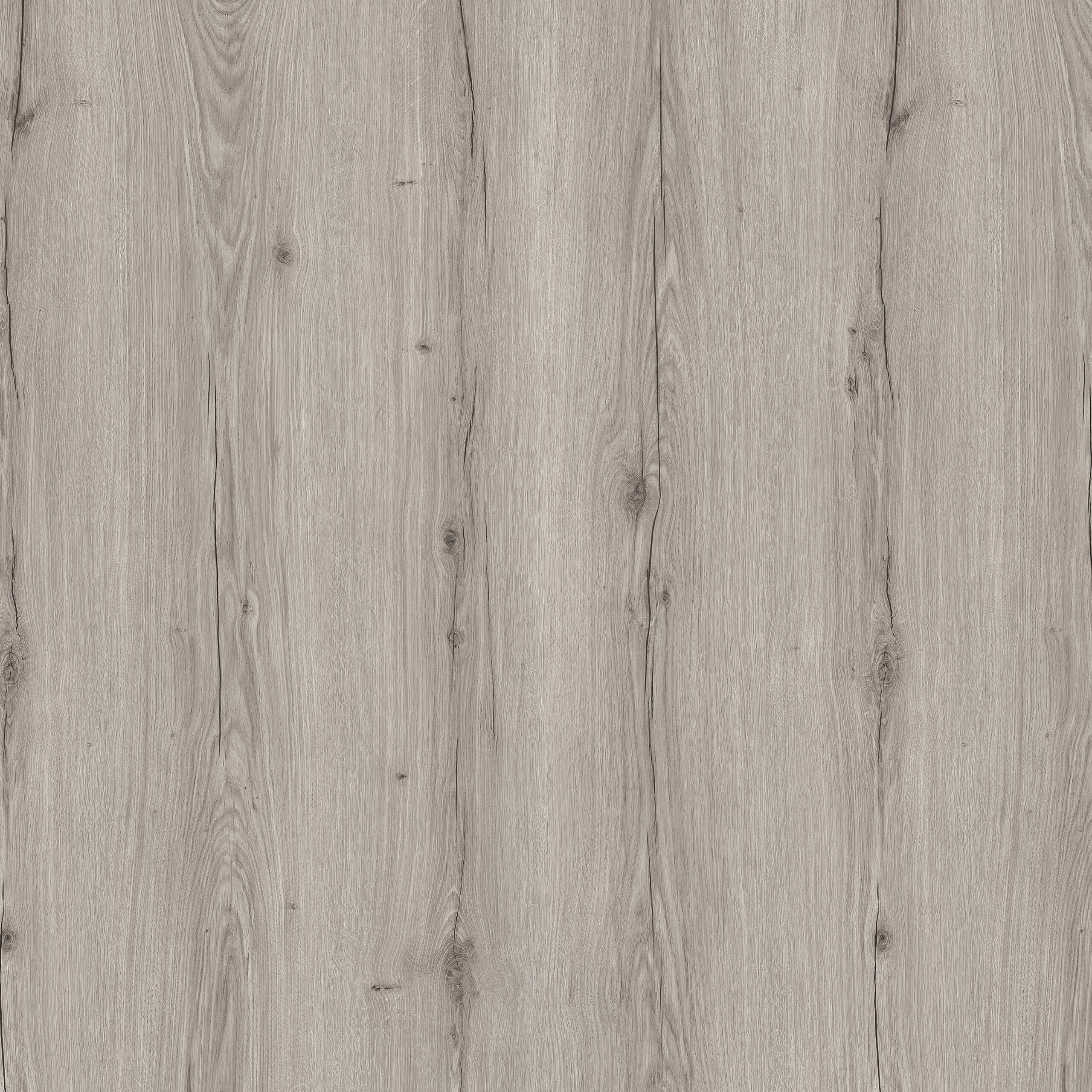 Rovere Nordico Grigio