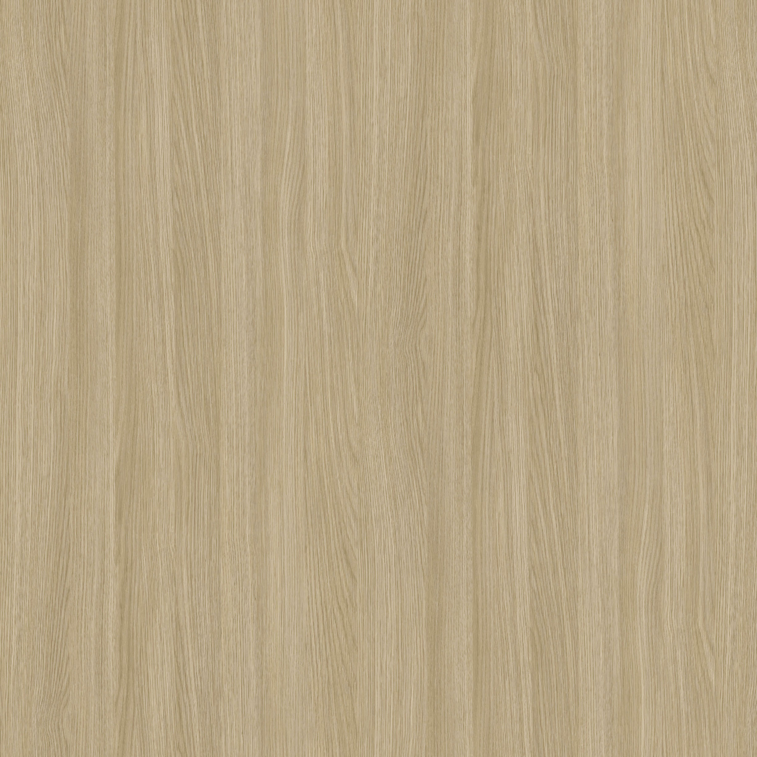 Rovere Katherine