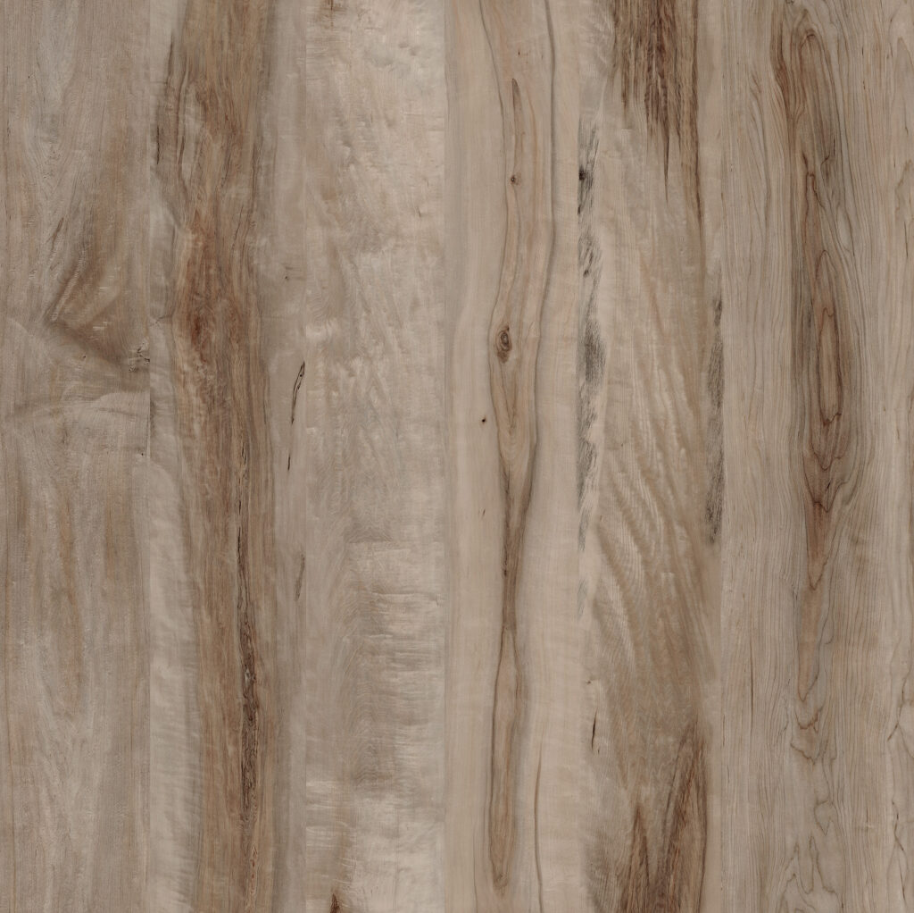 Acero Fossile