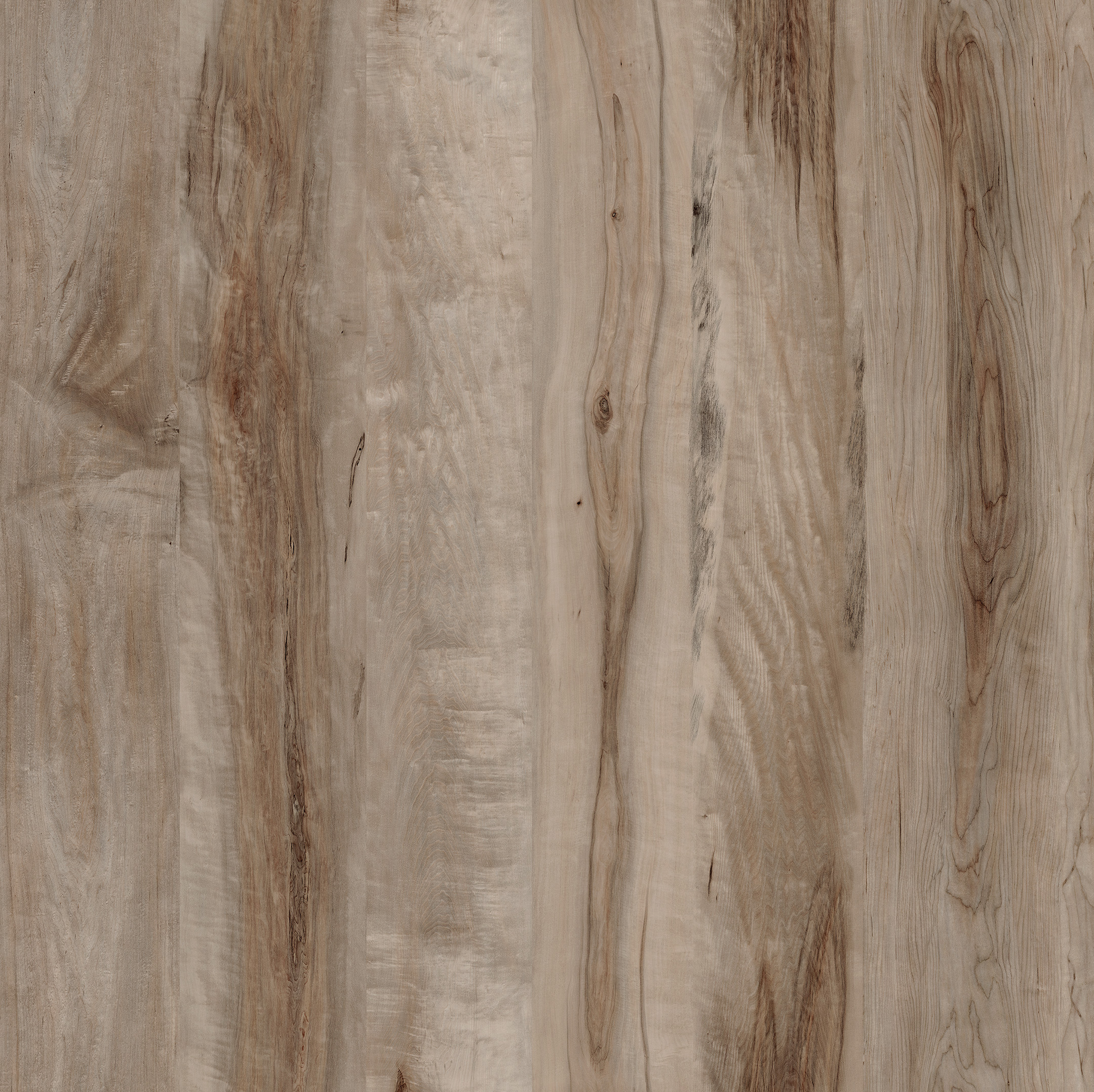 Acero Fossile