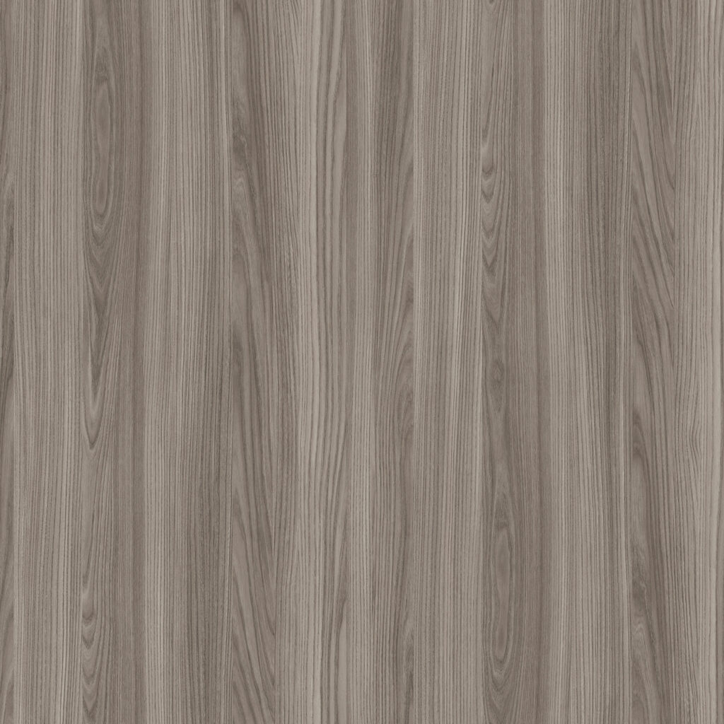 Olmo Grigio