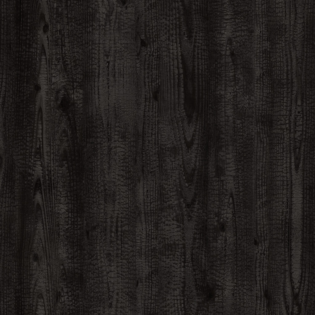 Legno Carbonizzato