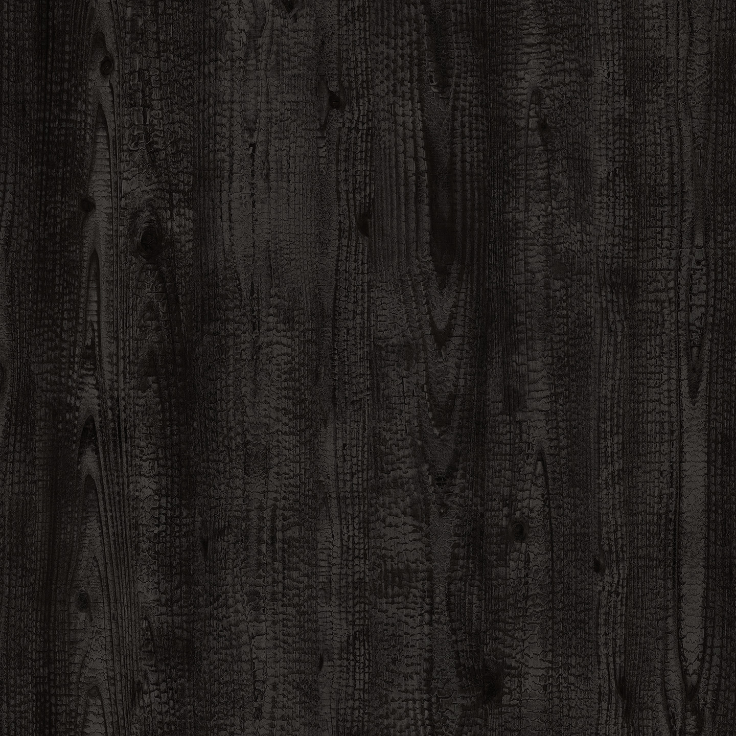 Legno Carbonizzato