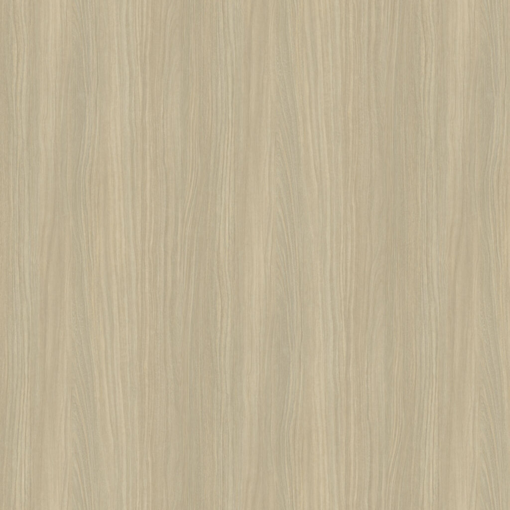 Driftwood Light