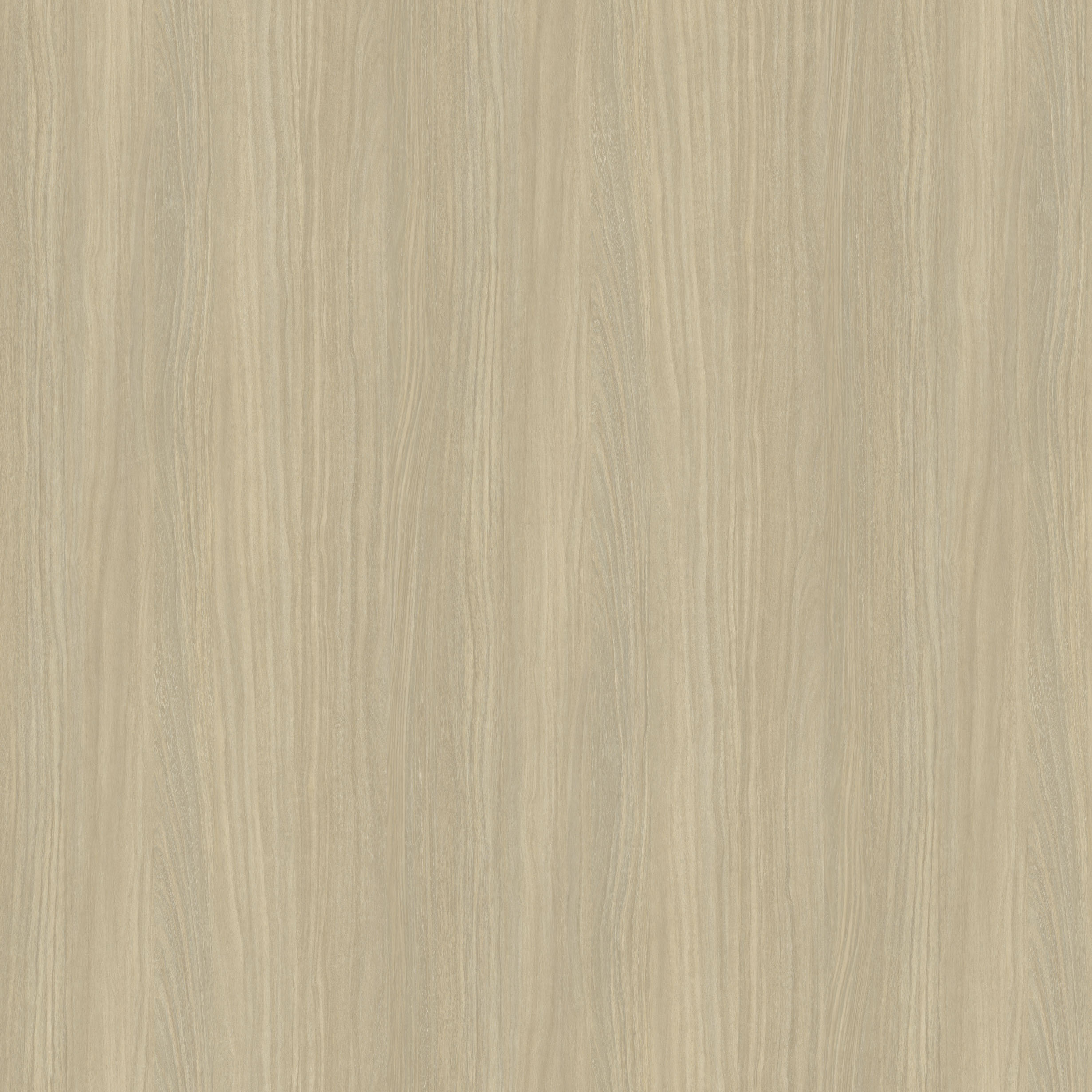 Driftwood Light